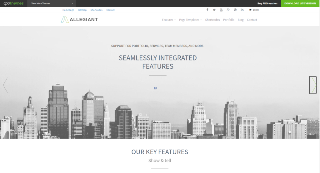 Allegiant Minimalist WordPress Theme