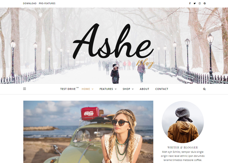 Ashe Free WordPress theme