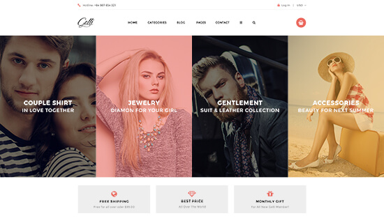 Gelli Free minimalist wordpress themes
