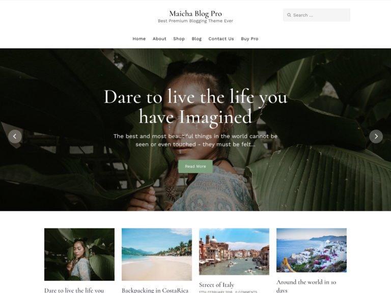 Free minimalist wordpress themes
