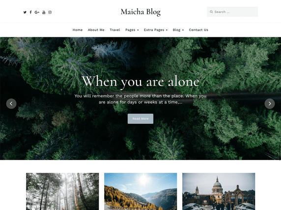 Maicha Free minimalist wordpress themes
