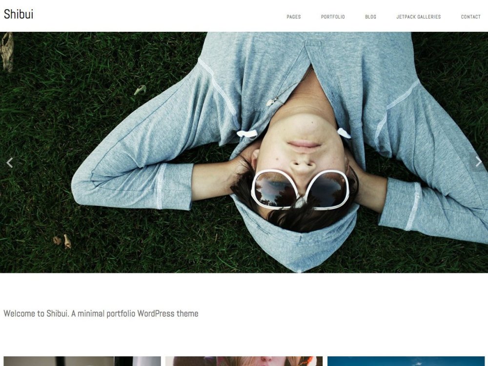 Free minimalist wordpress themes