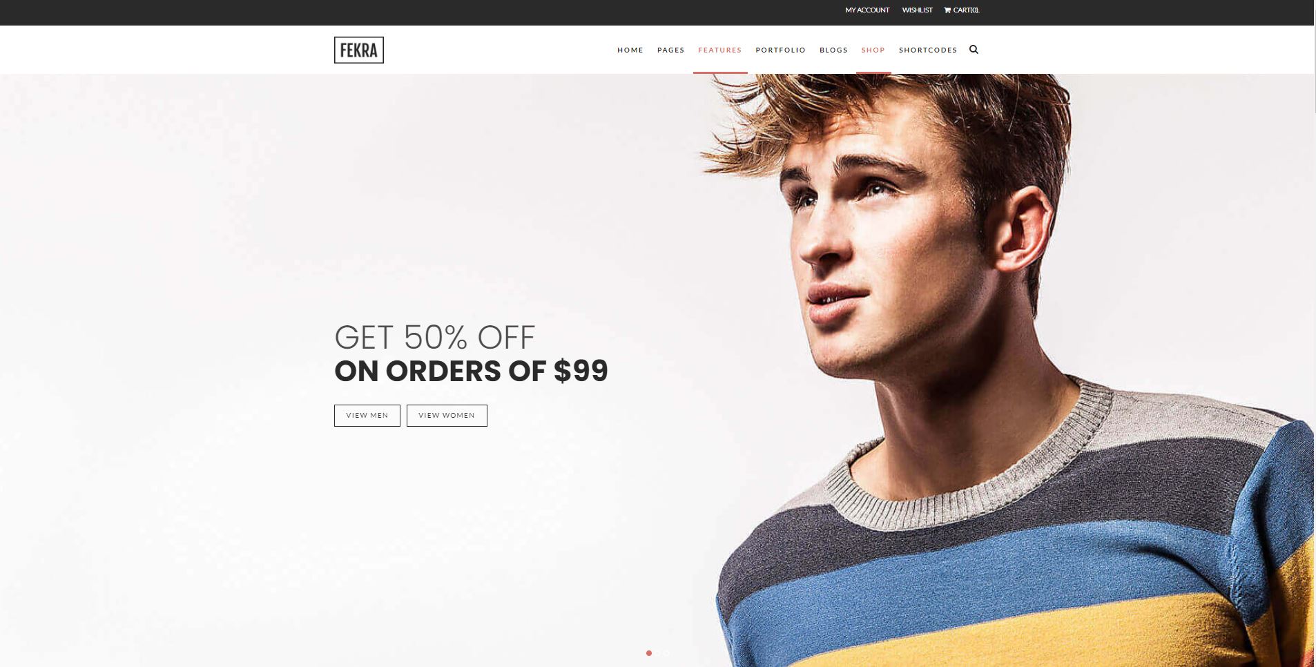 minimal Woocommerce themes