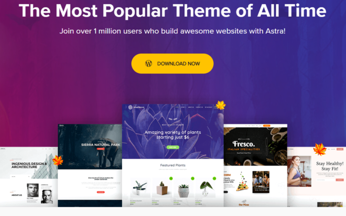 Astra Free WordPress Theme
