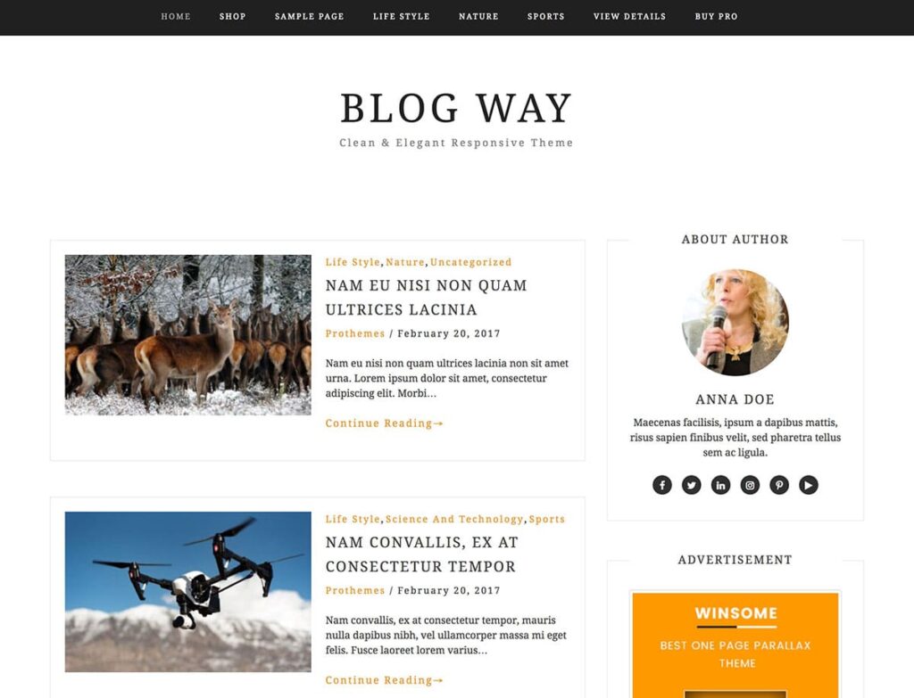 Blog Way