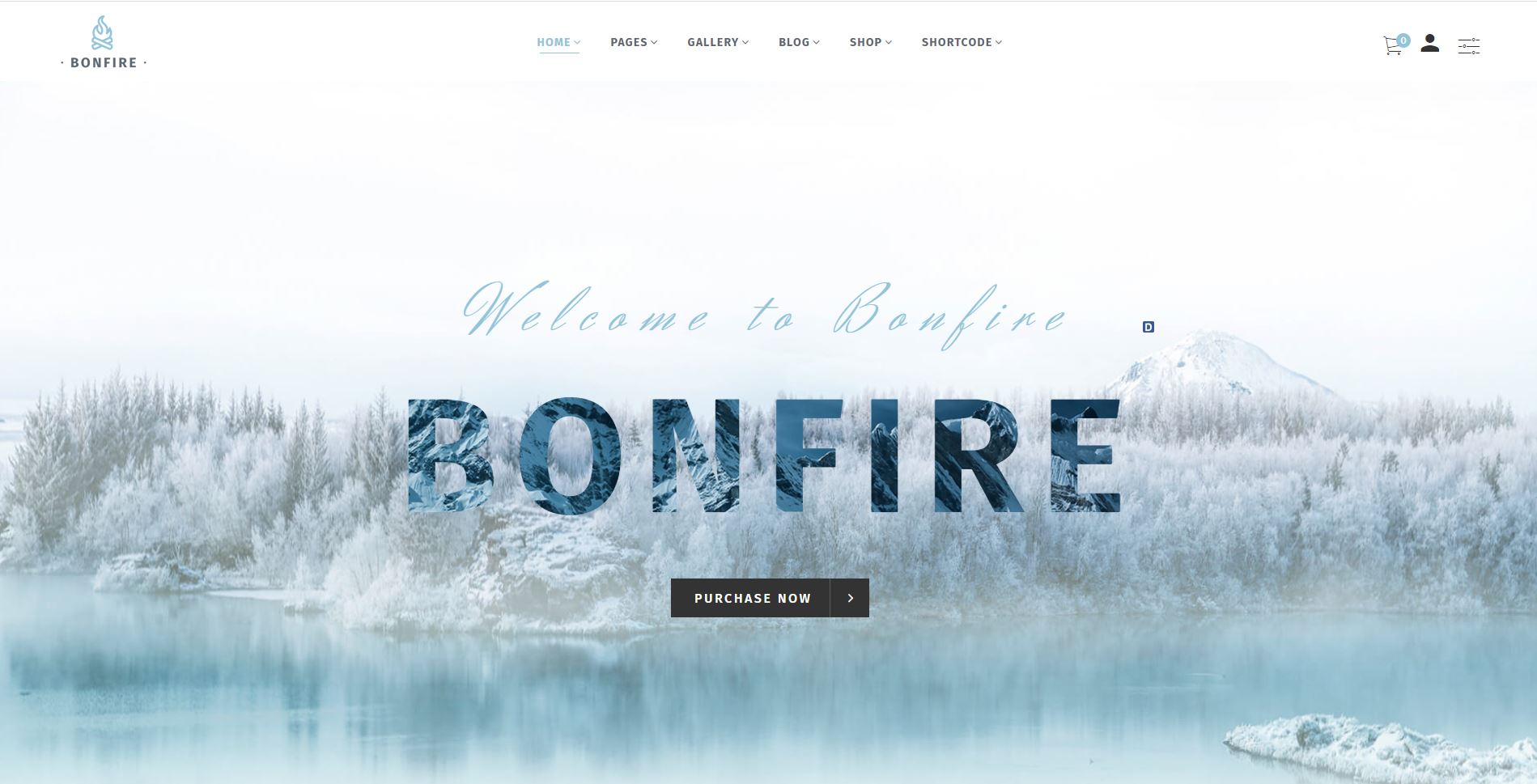 Bonfire medical Woocommerce themes