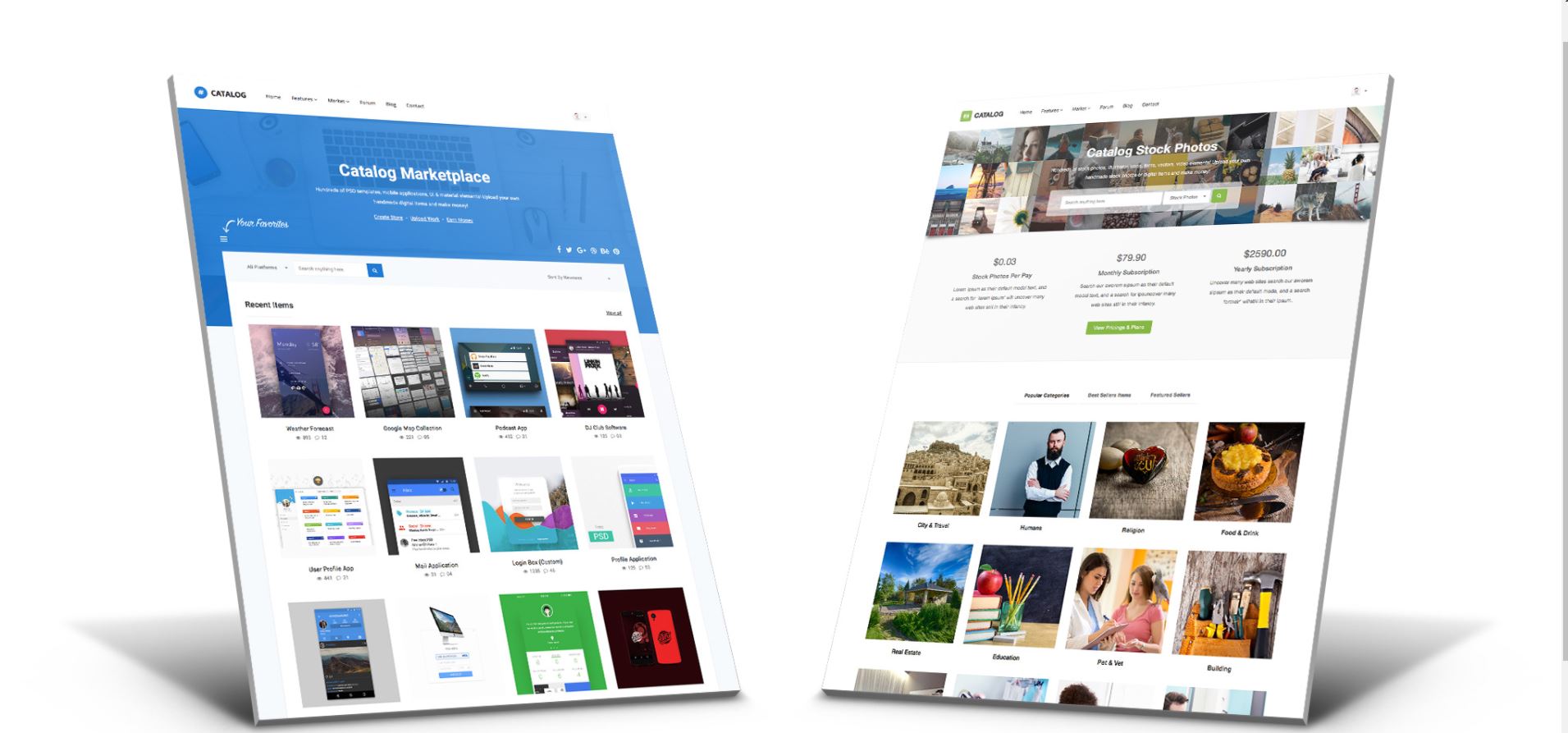 WordPress marketplace themes