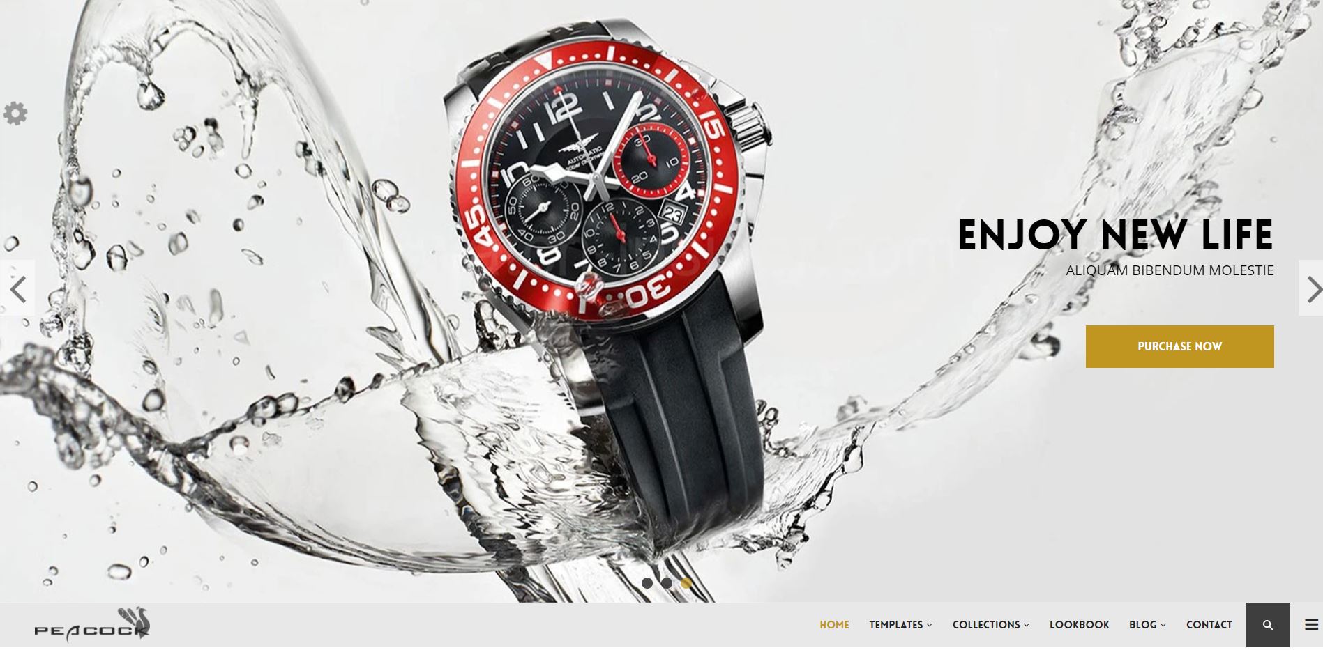 Watches shopify theme