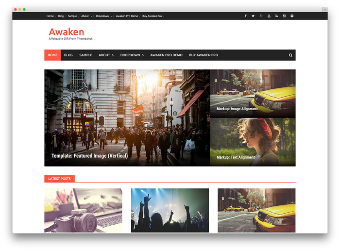 free wordpress blog themes
