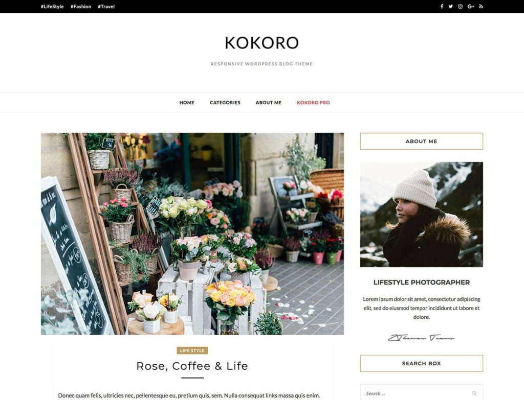 Kokoro free wordpress blog themes
