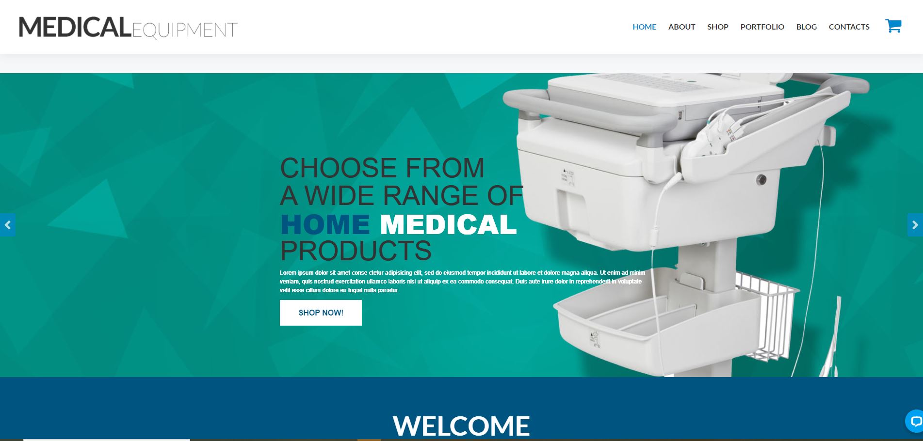 medical Woocommerce themes