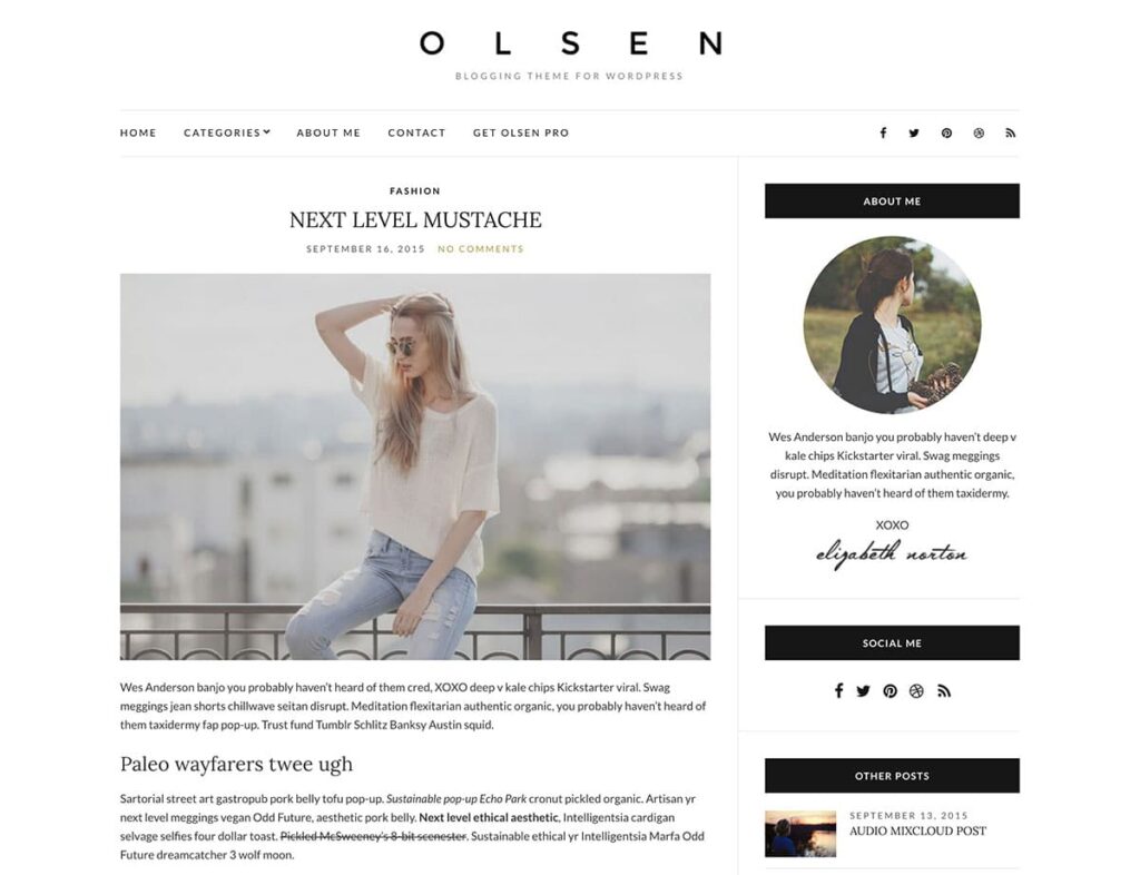 Olsen Light free wordpress blog themes
