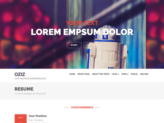 Oziz Free resume WordPress theme