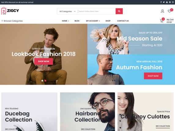 AZigcy Lite eCommerce WordPress Themes