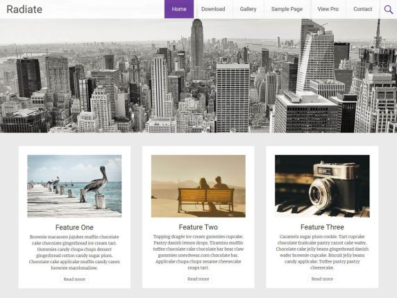 free wordpress blog themes