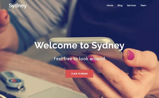 Sydney Free WordPress  themes