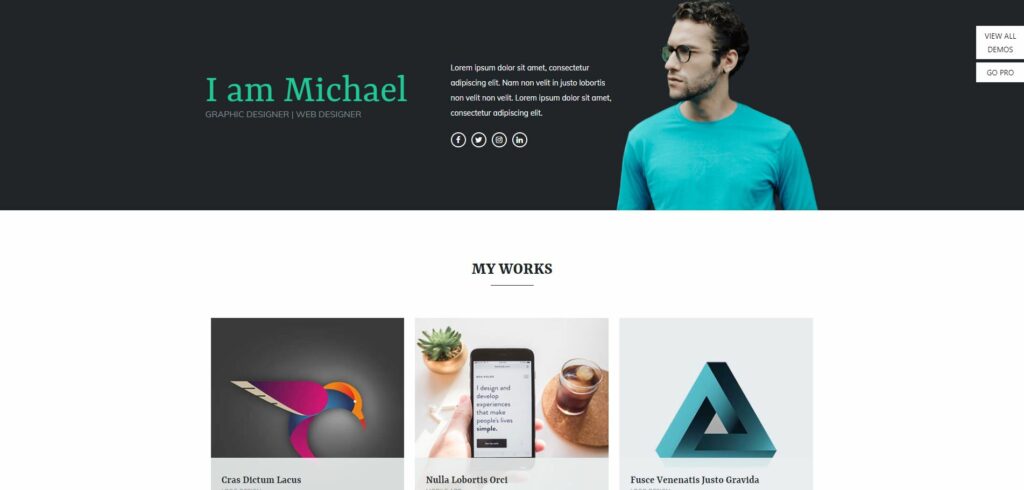 Free resume WordPress theme