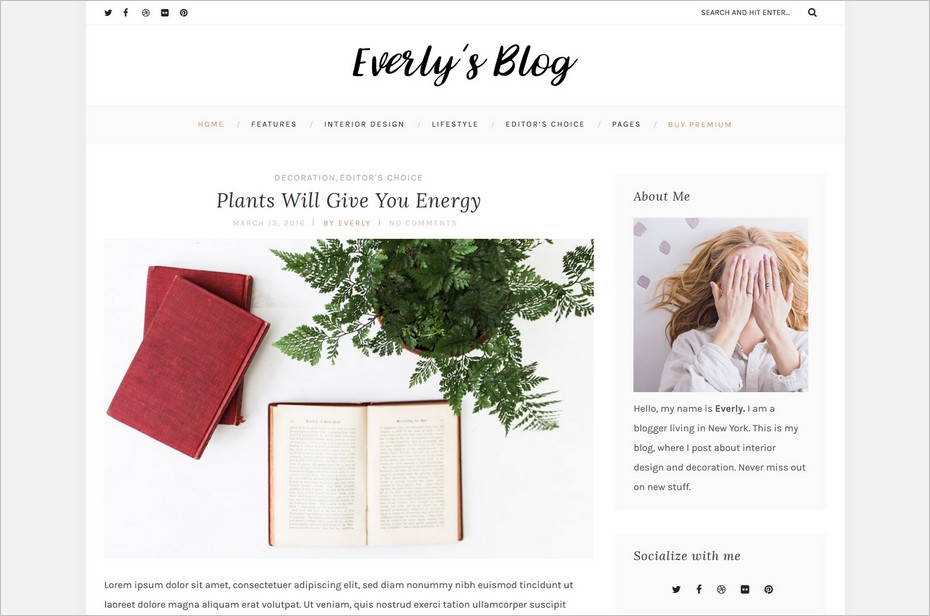 everly theme free wordpress blog themes
