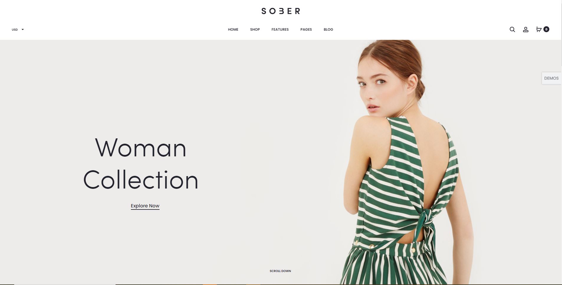 Sober Fashion WooComerce themes