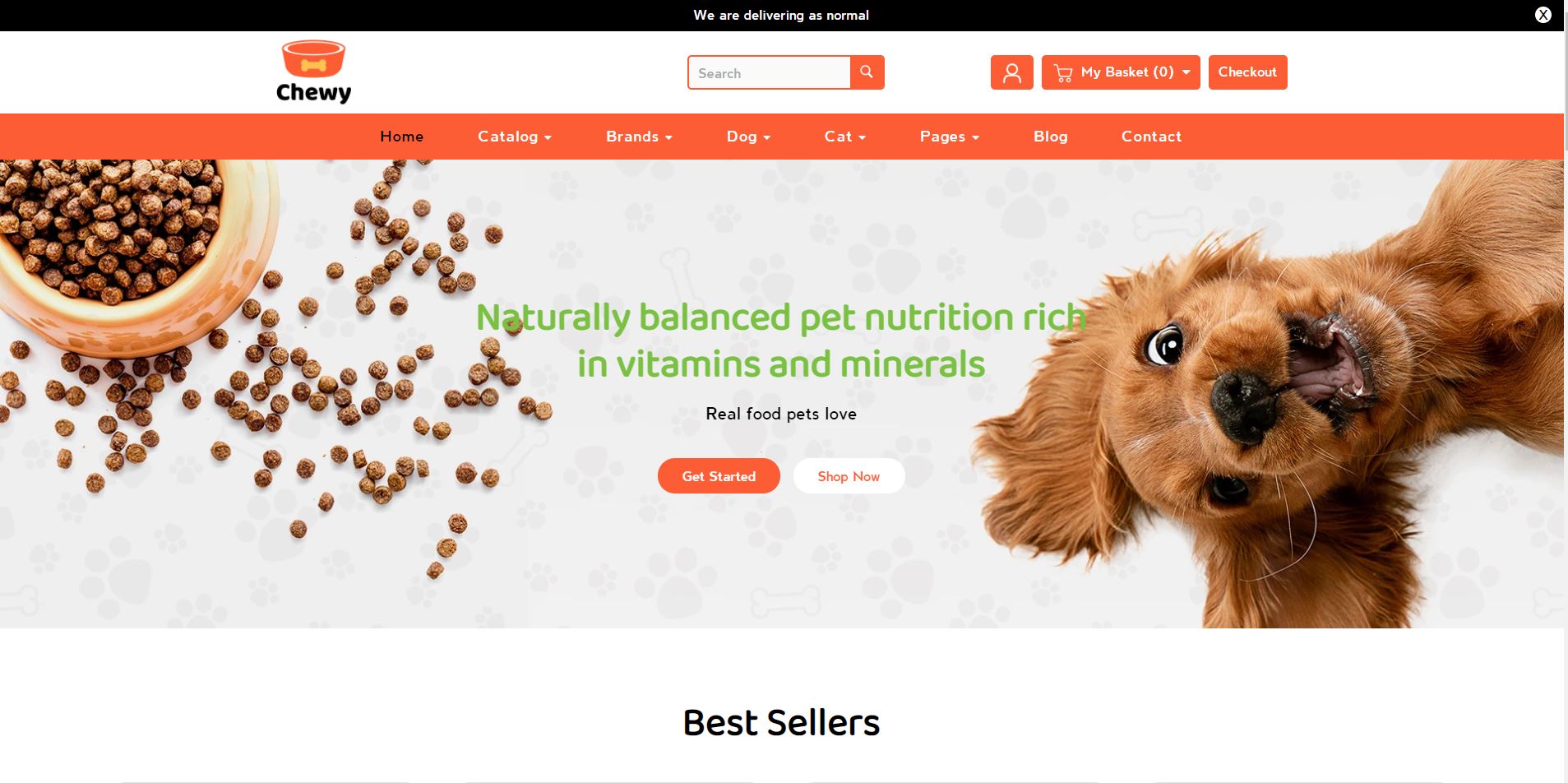 Chewy - Pet Shop Shopify Theme