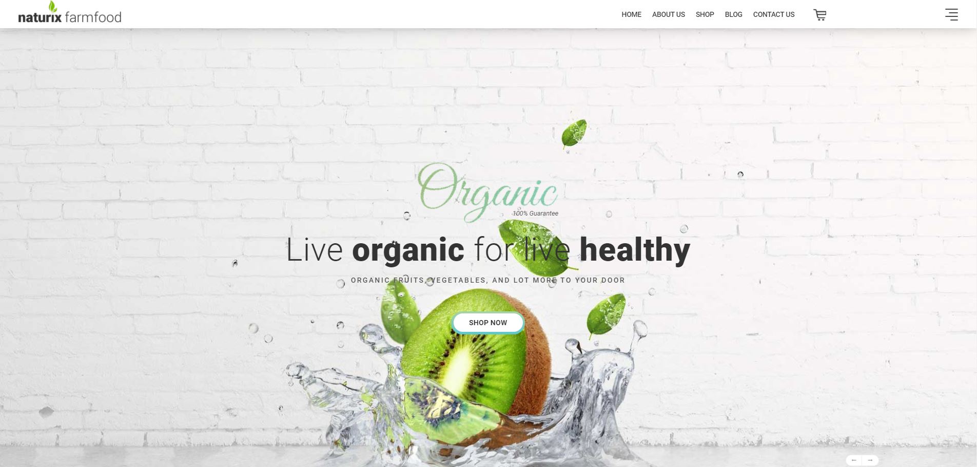 Fruits and vegetables opencart theme