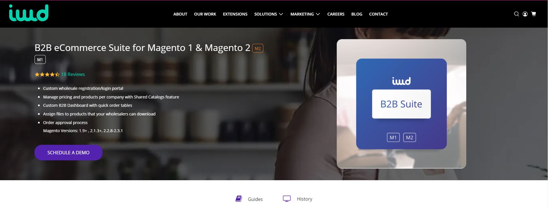 Magento b2b extension