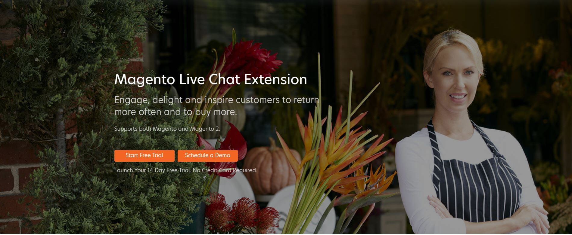 2 free magento live chat 13+ Best