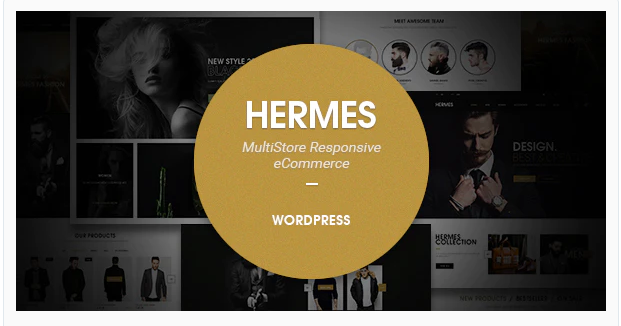 Wordpress ecommerce theme