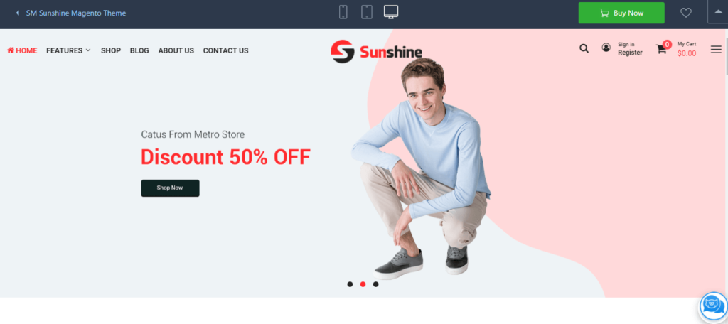 Magento 2 themes