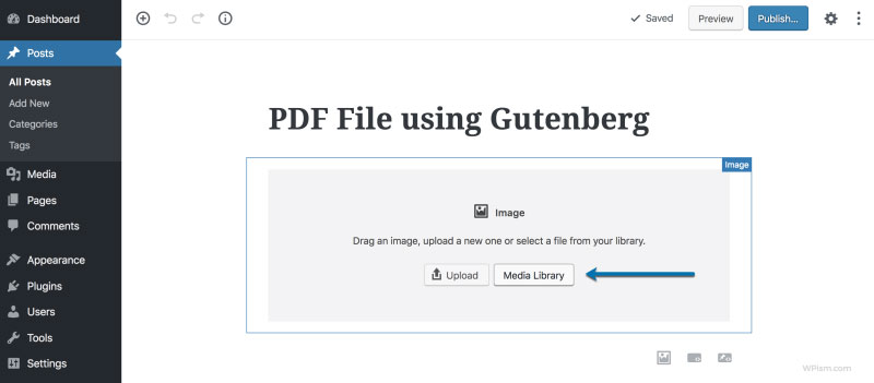 Wordpress pdf viewer