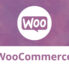 why and how service- based businesses should use Woocommerce