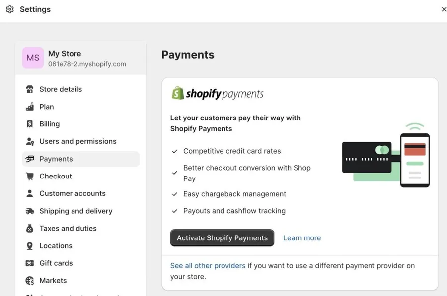 Shopify Payments Settings