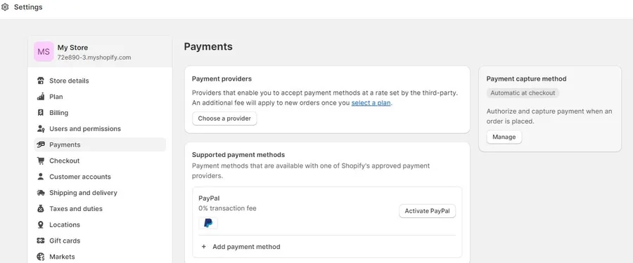 Shopify Setup Payment