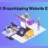 Best Dropshipping Website Examples