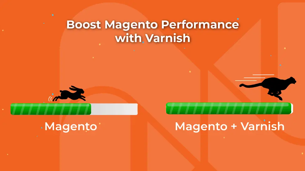 Magento Varnish