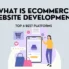 eCommerce Website Development