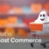 What is Ghost Commerce?