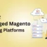 Best Managed Magento Hosting Platforms