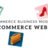6 types of ecommerce business models ecommerce websites
